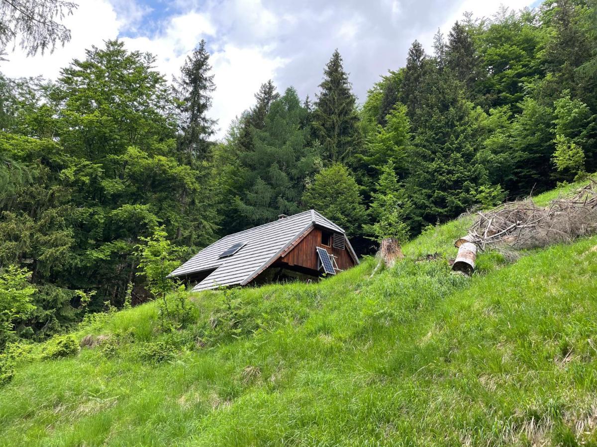 Architect'S Cottage - Serenity And Greenery In The Highlands Соча Экстерьер фото
